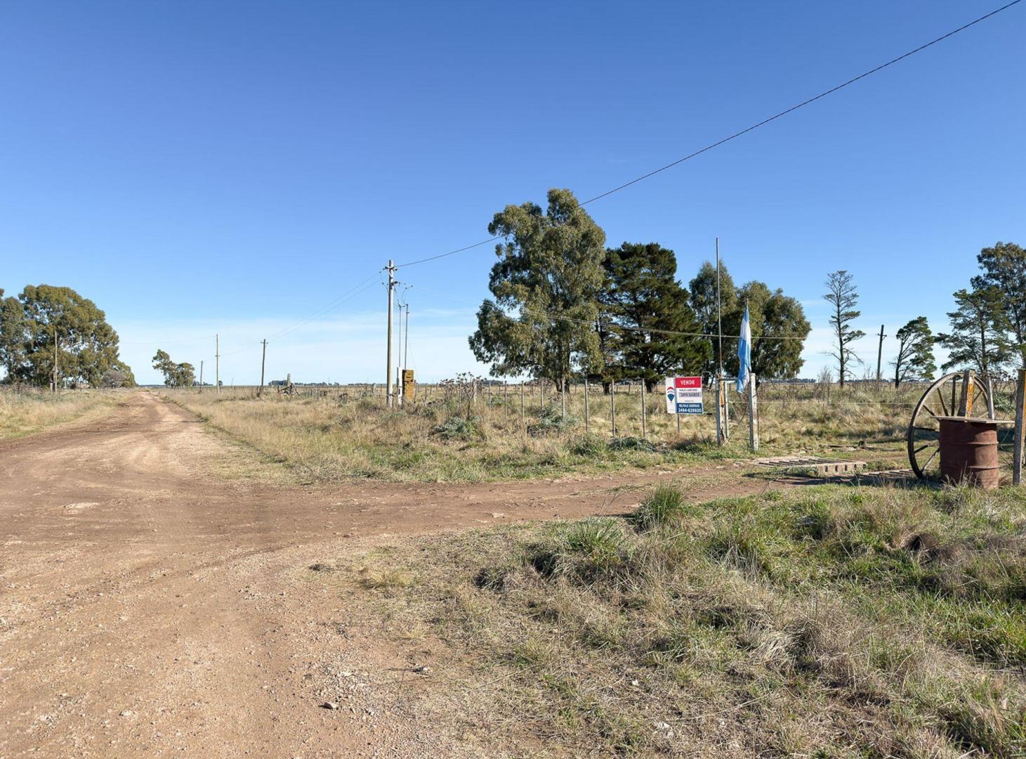 Foto de VENTA CHACRA 20 HECTÁREAS EN DE LA GARMA, imagen 5