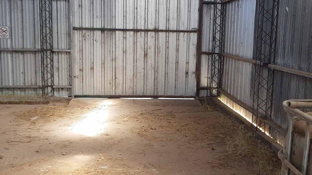 Foto de VENTA DE PLANTA OLEAGINOSA EN LOBERÍA, imagen 5