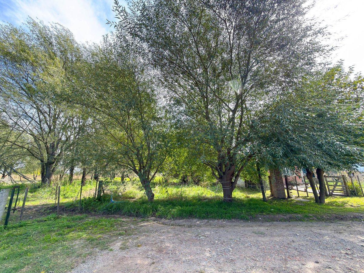 Foto de VENTA LOTE ZONA GRADUADOS TANDIL, imagen 3