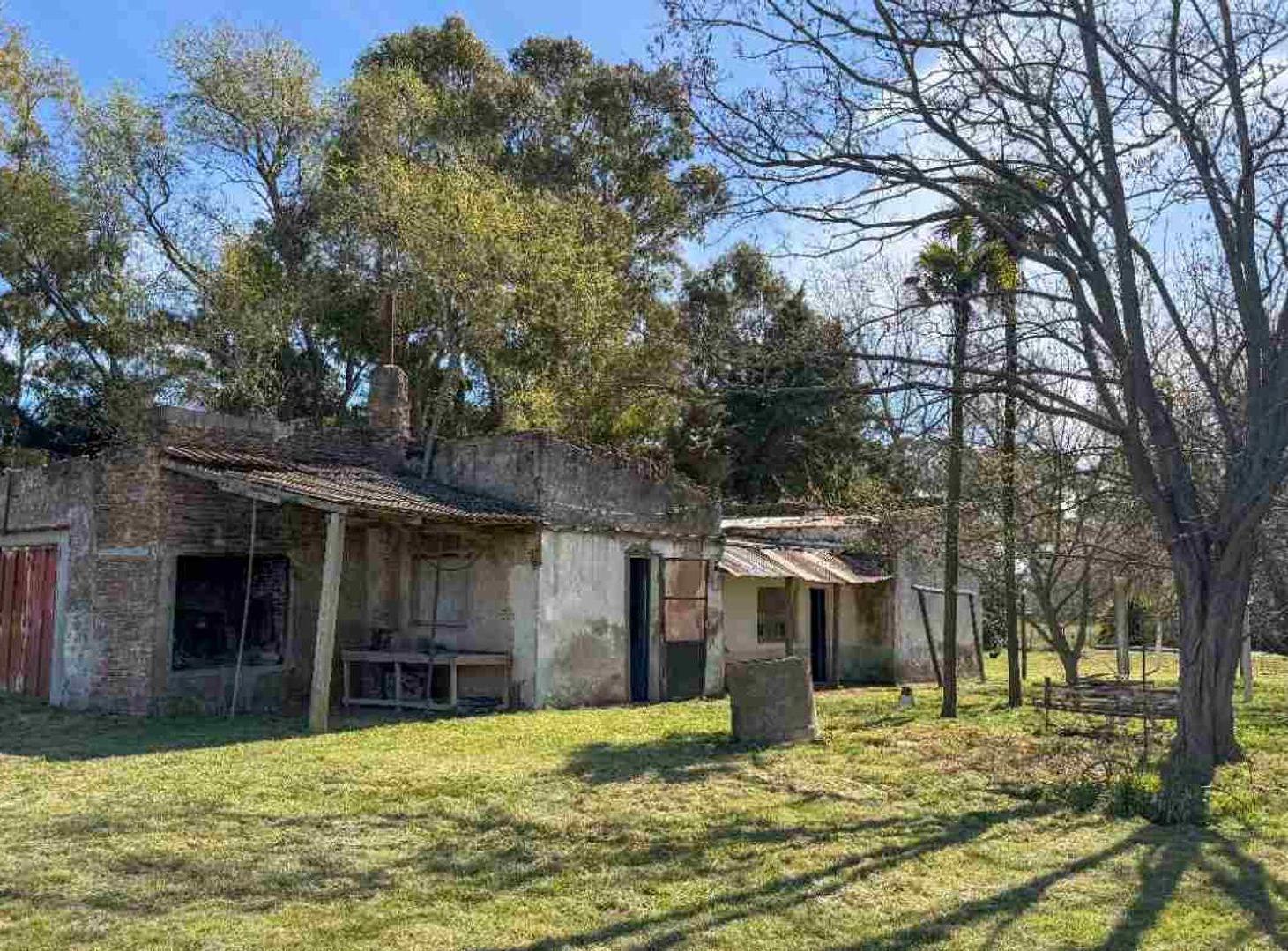 Foto de GRAN QUINTA DE 3,36 HECTÁREAS EN MARÍA IGNACIA, imagen 5