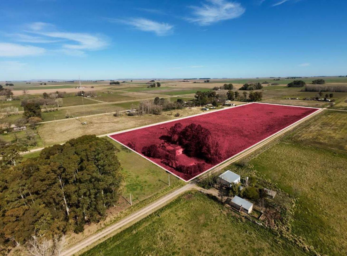 Foto de GRAN QUINTA DE 3,36 HECTÁREAS EN MARÍA IGNACIA, imagen 2