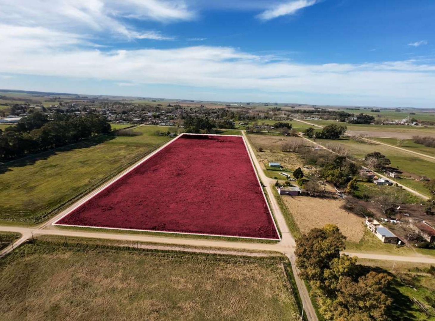Foto de GRAN QUINTA DE 3,36 HECTÁREAS EN MARÍA IGNACIA, imagen 3