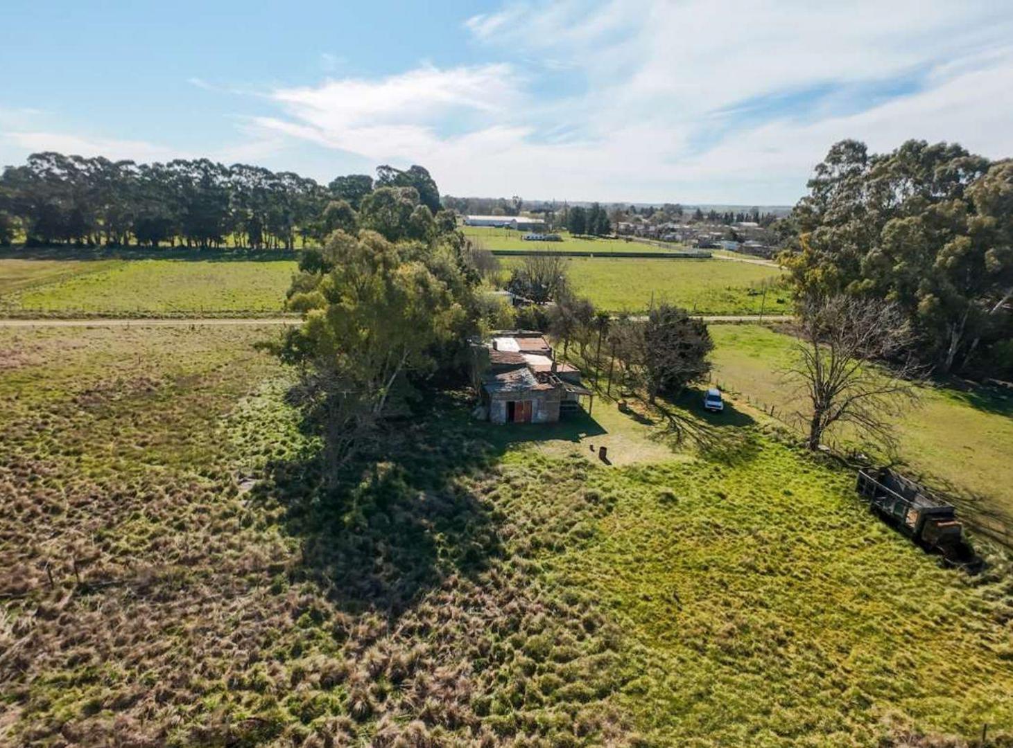 Foto de GRAN QUINTA DE 3,36 HECTÁREAS EN MARÍA IGNACIA, imagen 4