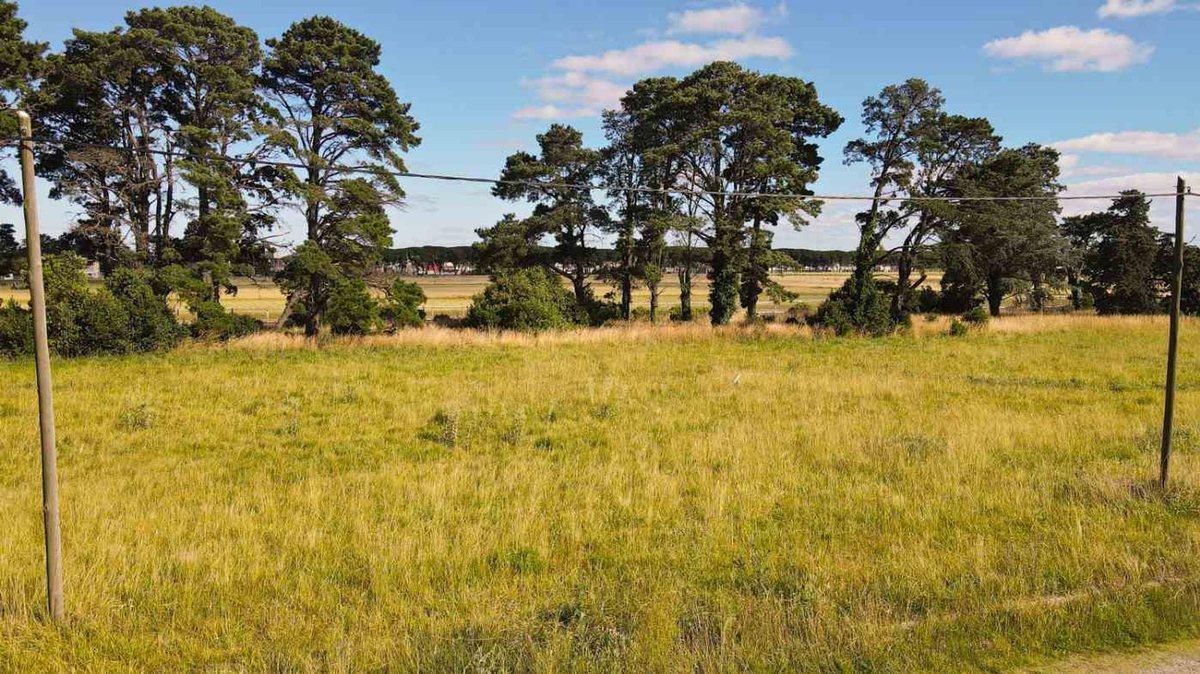 Foto de LOTE VENTA SUBDIVISIBLE TANDIL, imagen 5