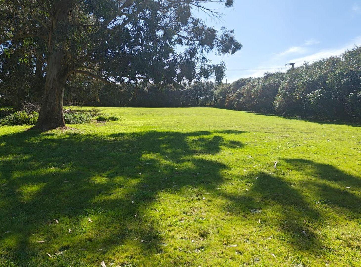 Foto de TERRENO ZONA EL PARAISO TANDIL, imagen 1