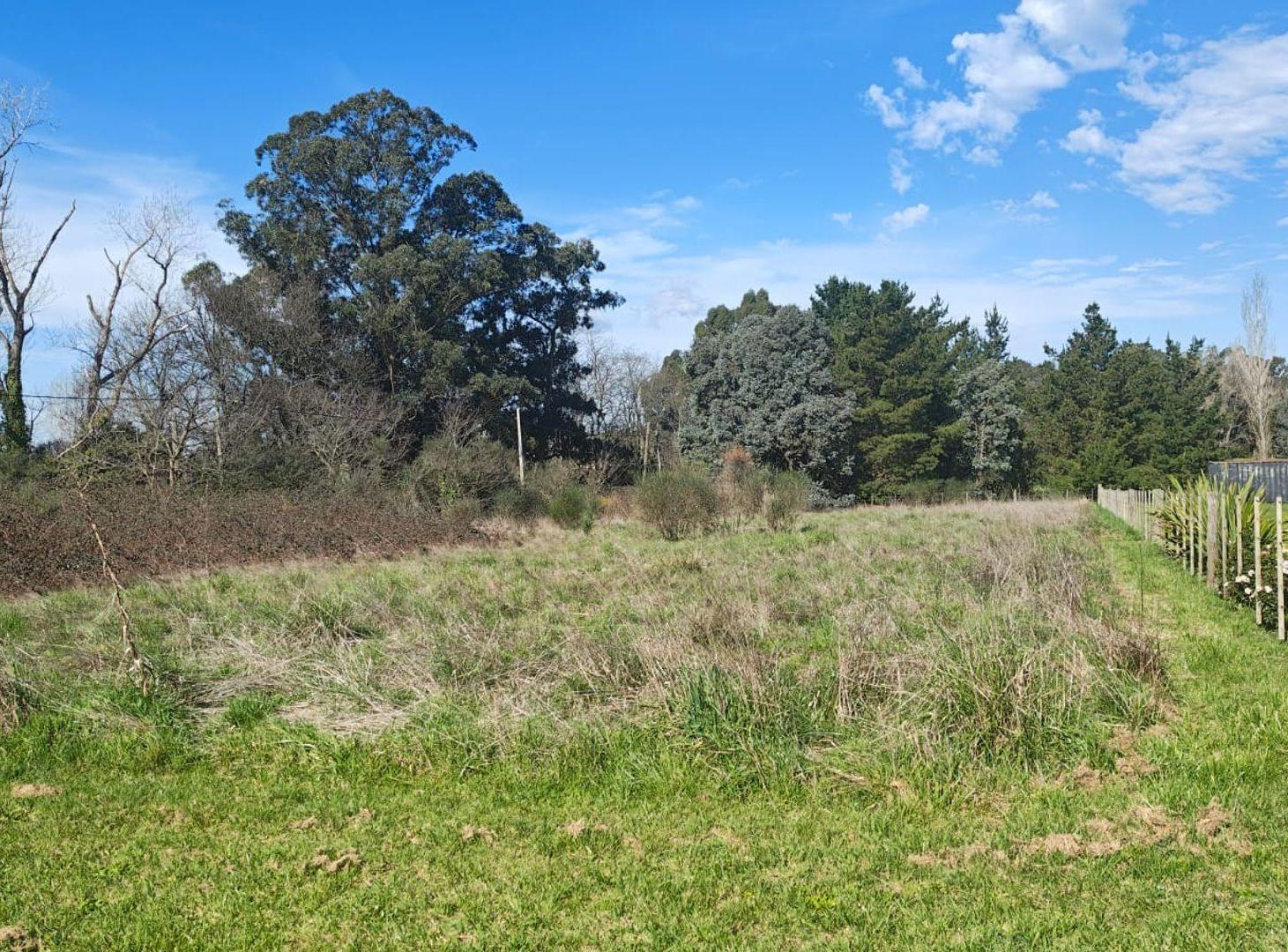 Foto de TERRENO EN EL PARAISO, TANDIL, imagen 2