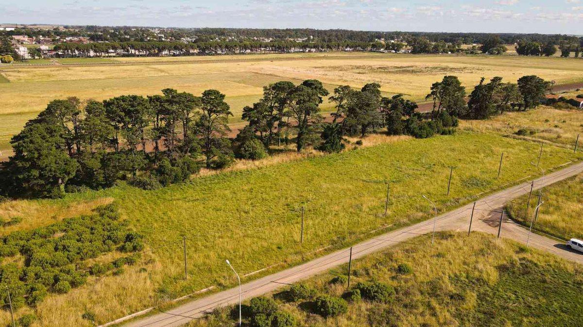 Foto de LOTE VENTA SUBDIVISIBLE TANDIL, imagen 5