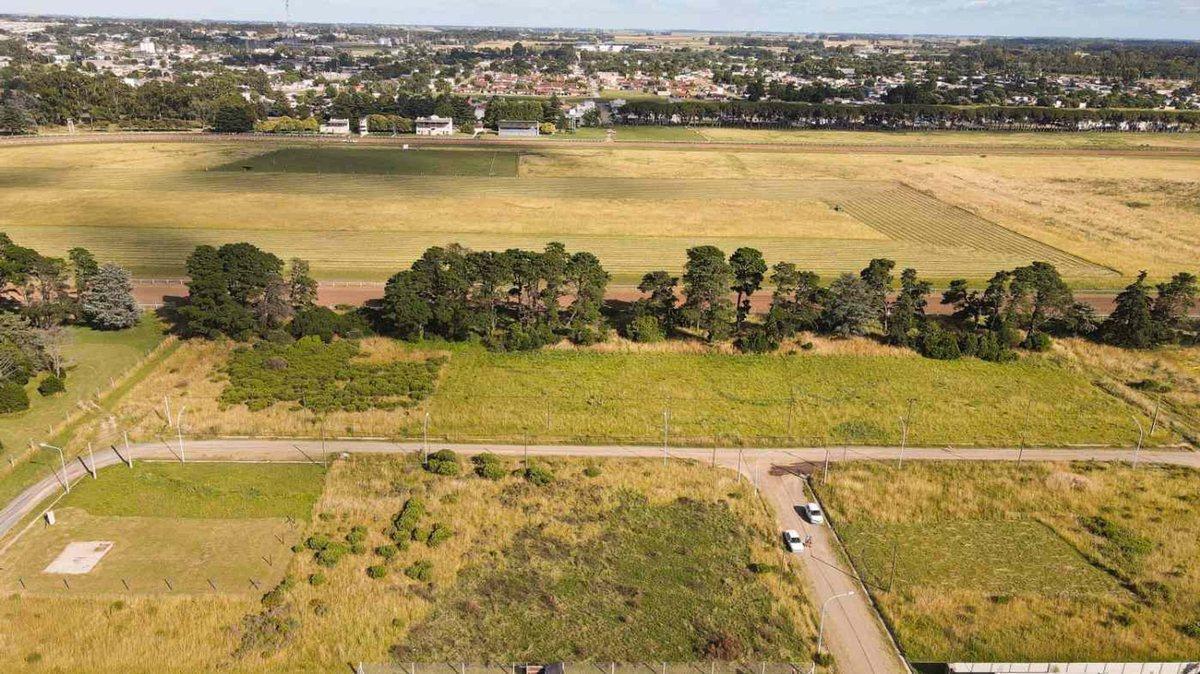 Foto de LOTE VENTA SUBDIVISIBLE TANDIL, imagen 3