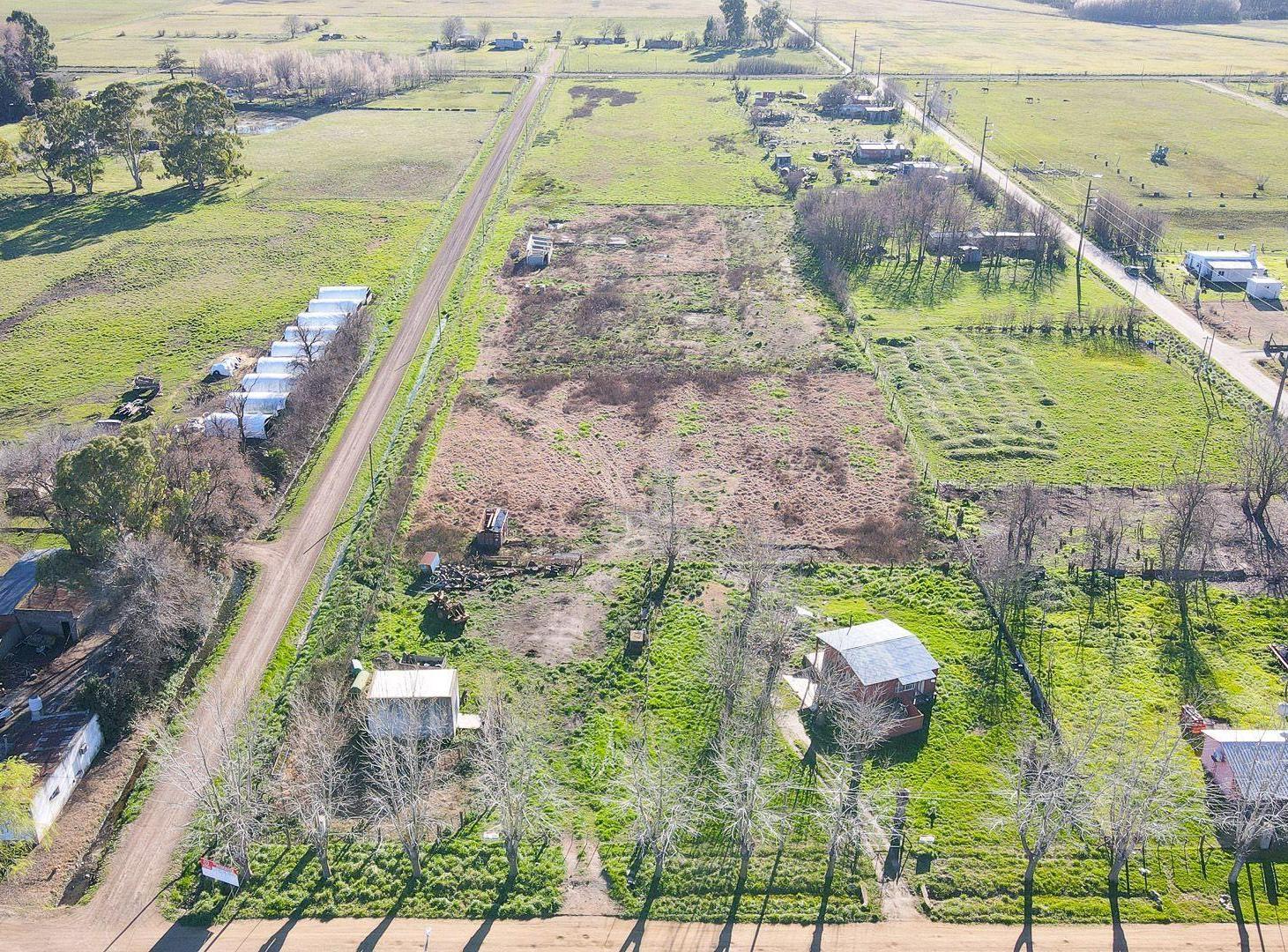 Foto de CHACRA 2,6 HECTAREAS EN MARIA IGNACIA VELA, imagen 3