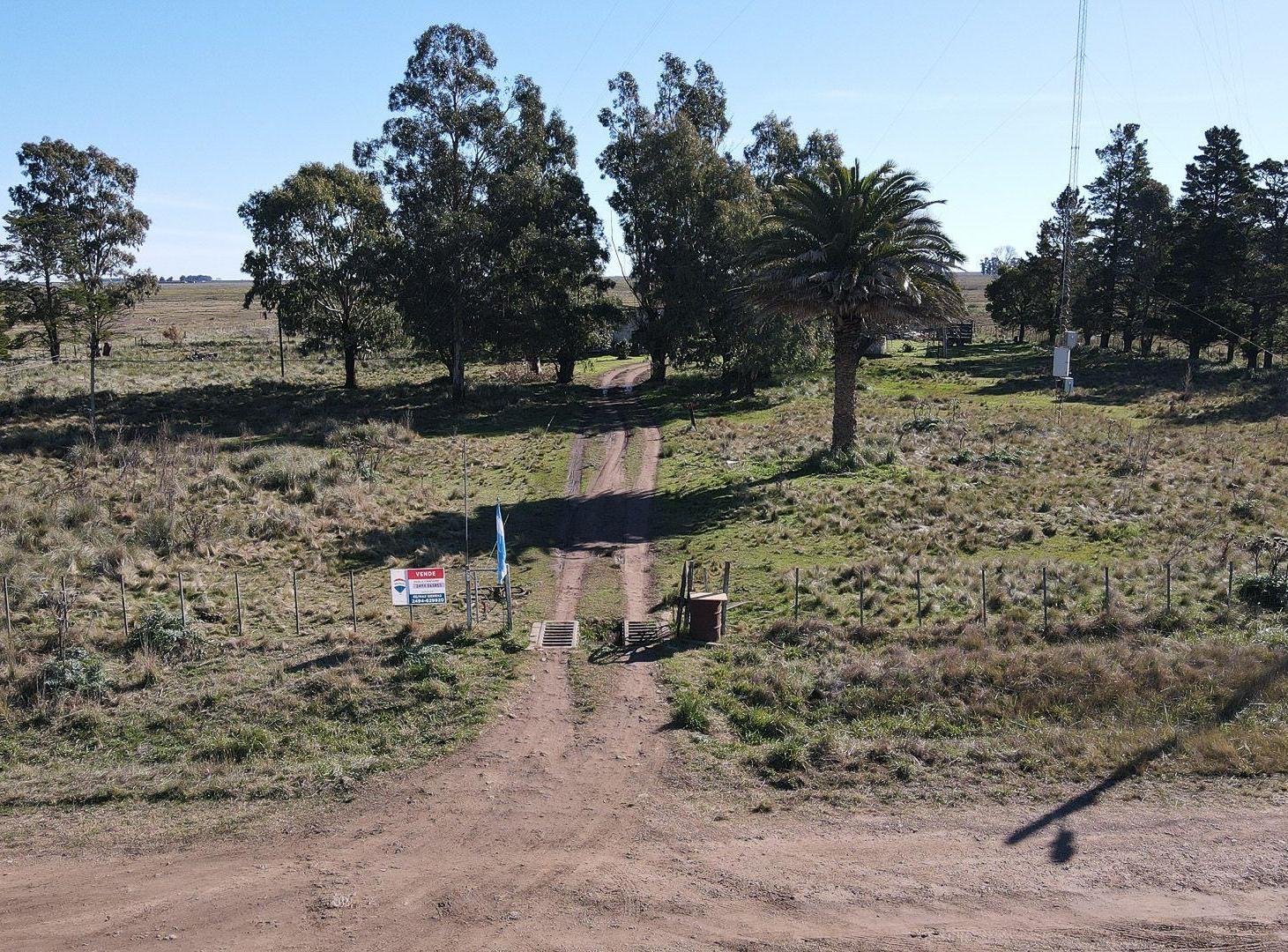 Foto de VENTA CHACRA 20 HECTÁREAS EN DE LA GARMA, imagen 3