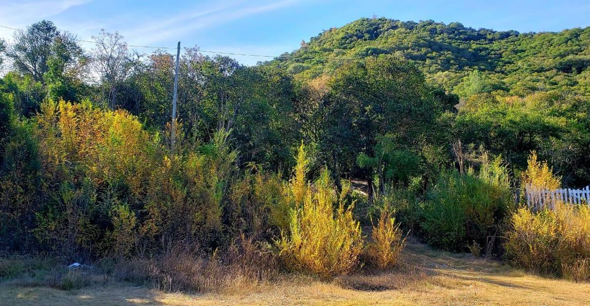 Santa Rosa de Calamuchita 3