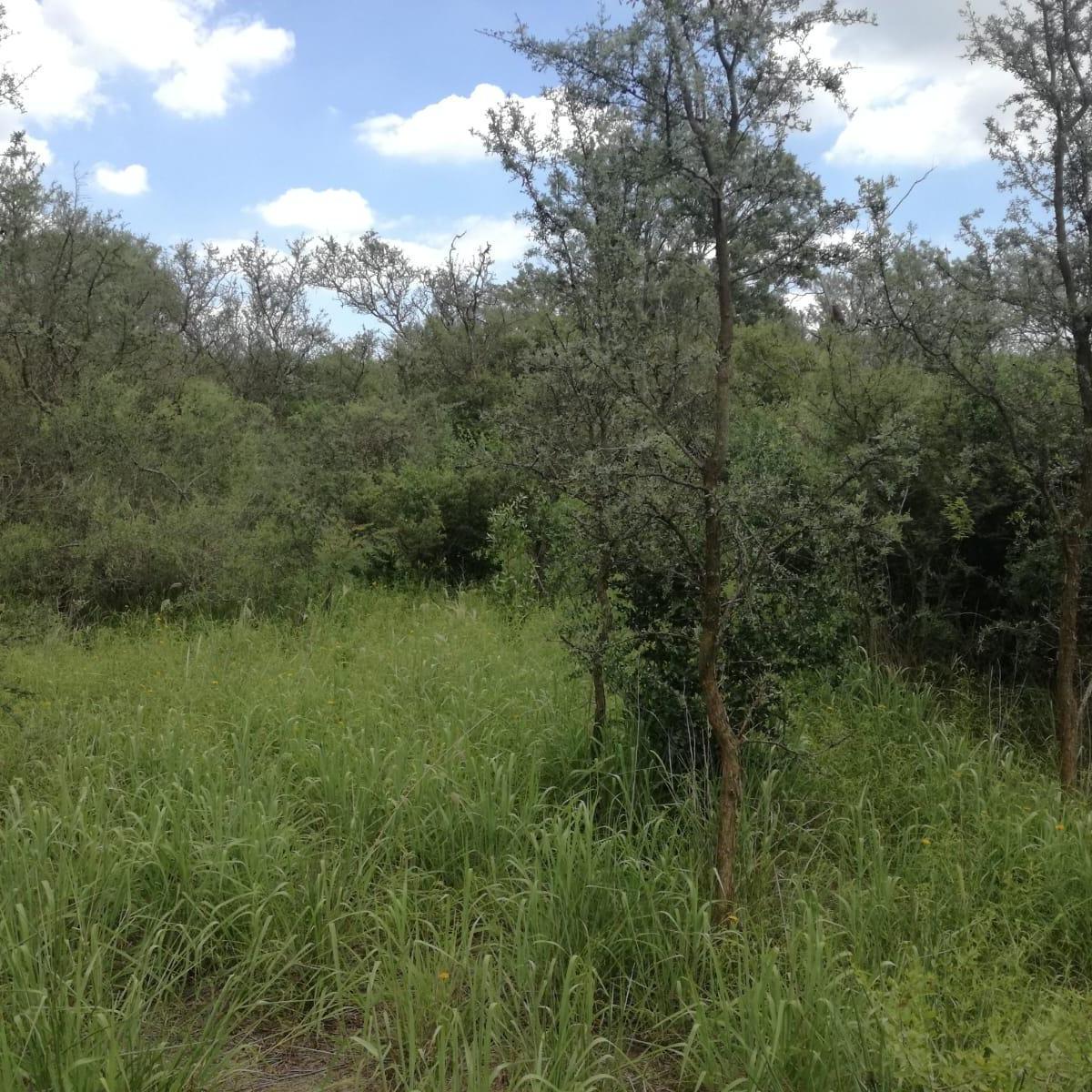 Miramar de Ansenuza - Terreno 1