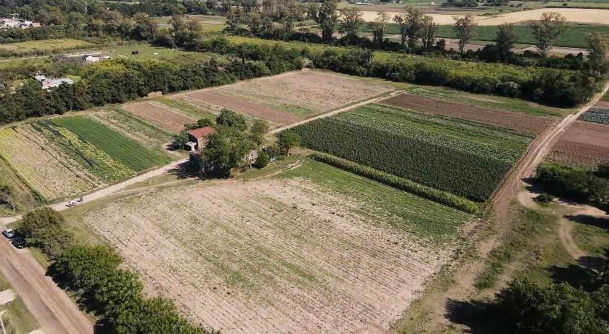 Lote 200 m², Angel Gallardo, Loteo San Miguel 1