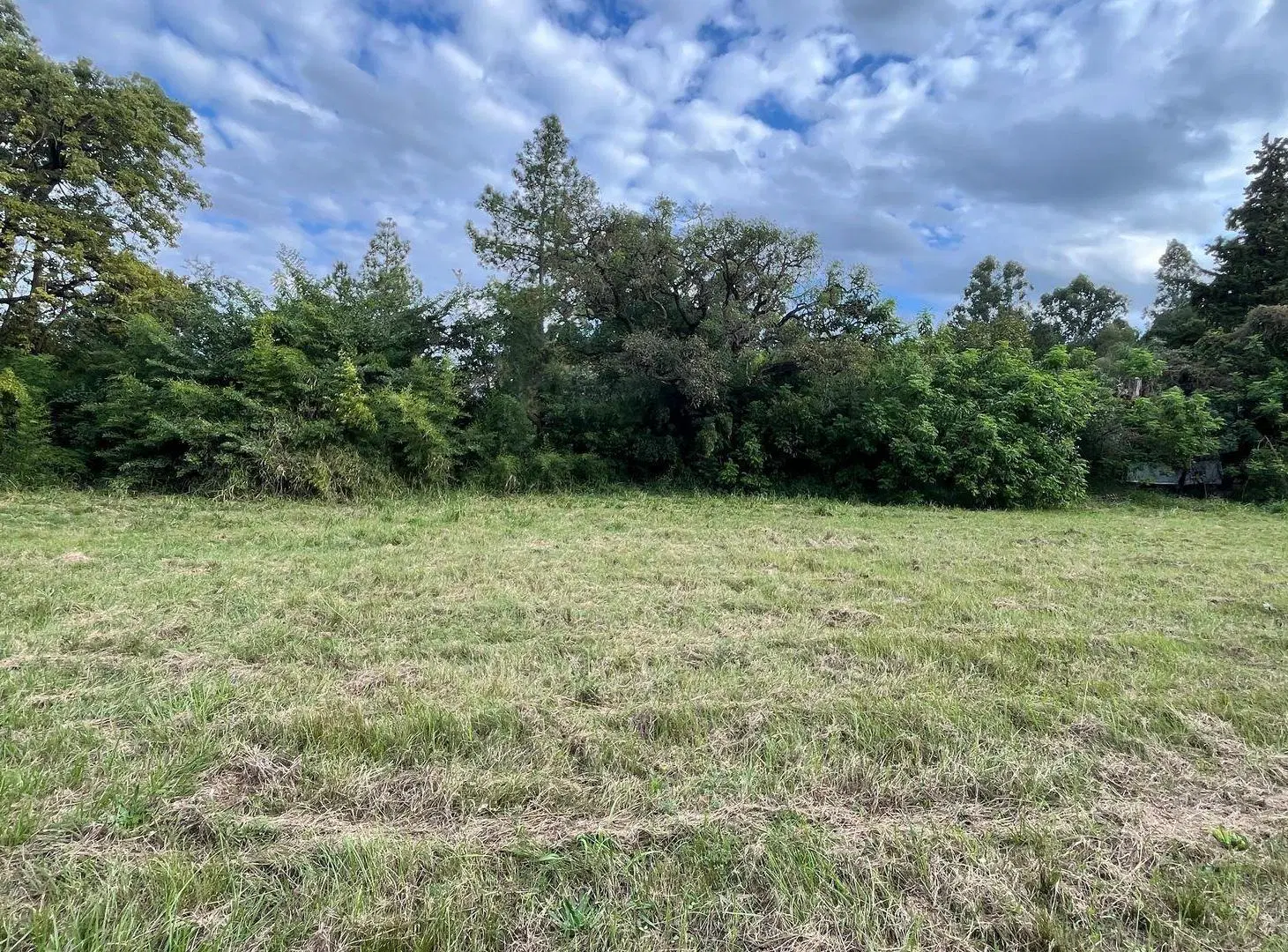 SE VENDE LOTE A 20M DE LA RUTA 1 2
