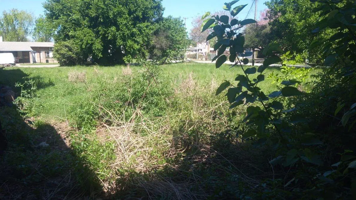 VENDO TERRENO EN SAUCE VIEJO ZONA EL MATE 5