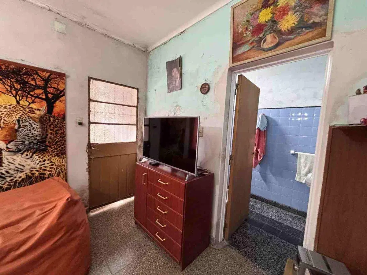 CASA INTERNA 5