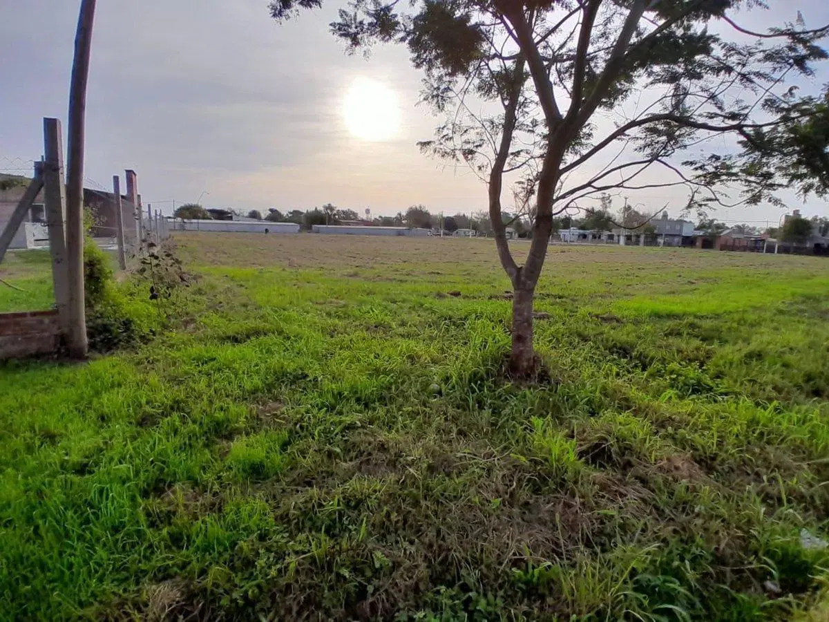 VENTA terreno Paraje la Costa Monte Vera 4