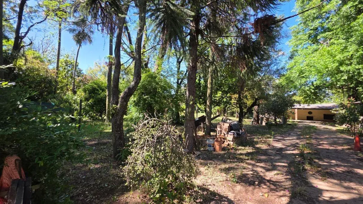 VENTA-2 LOTES-VILLA CALIFORNIA-S. J. DEL RINCON 2