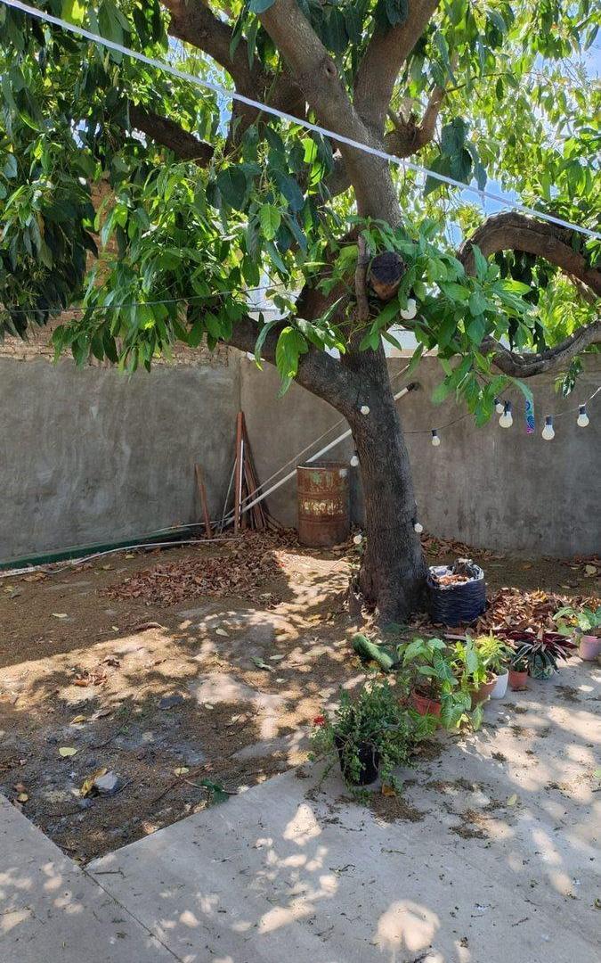 Foto de SE VENDE LOCAL COMERCIAL+DEPTO. INTERNO C/ COCHERA, imagen 3