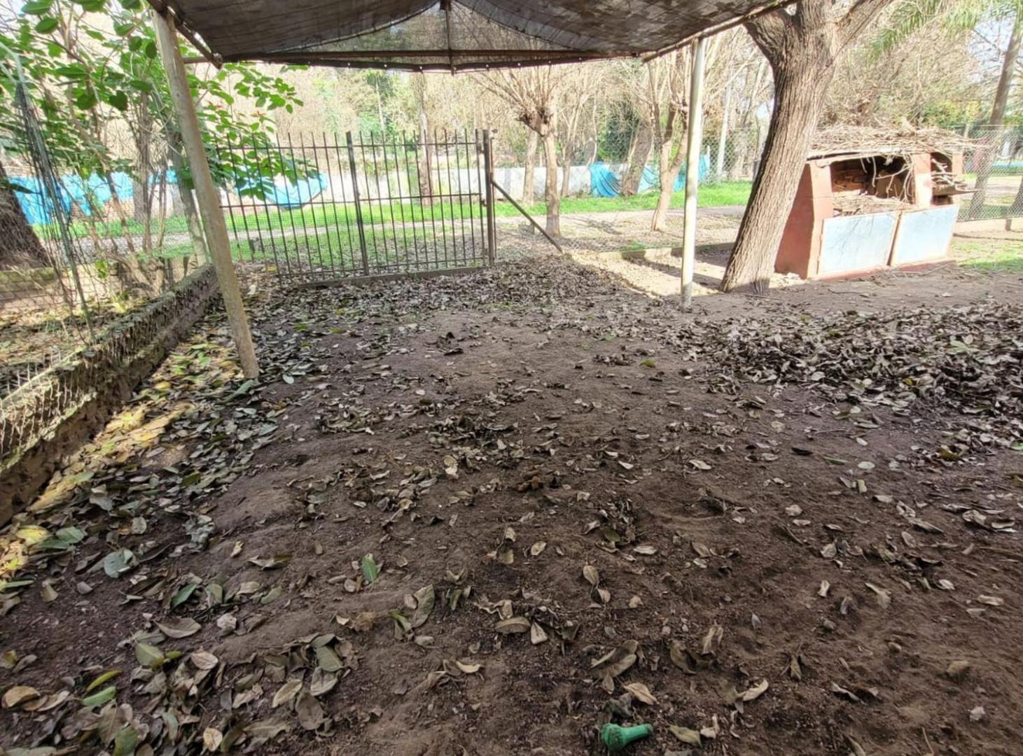 Foto de SE VENDE CASA QUINTA EN SAUCE VIEJO-JORGE NEWBERY, imagen 5