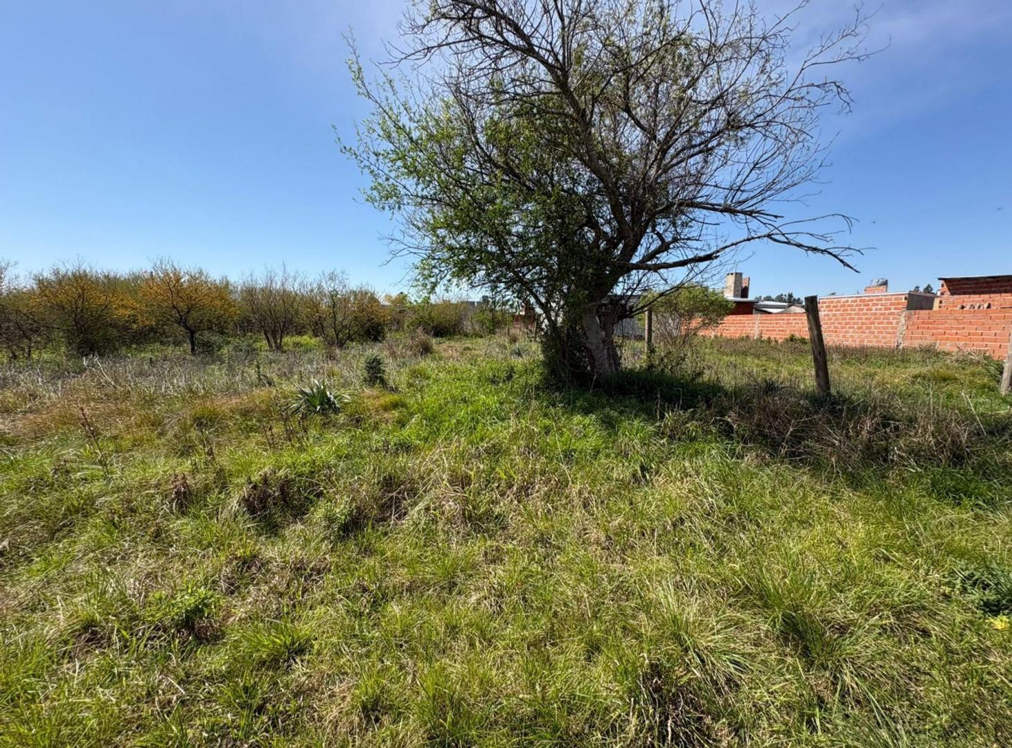 Foto de Terreno en venta en Sauce Viejo, imagen 4