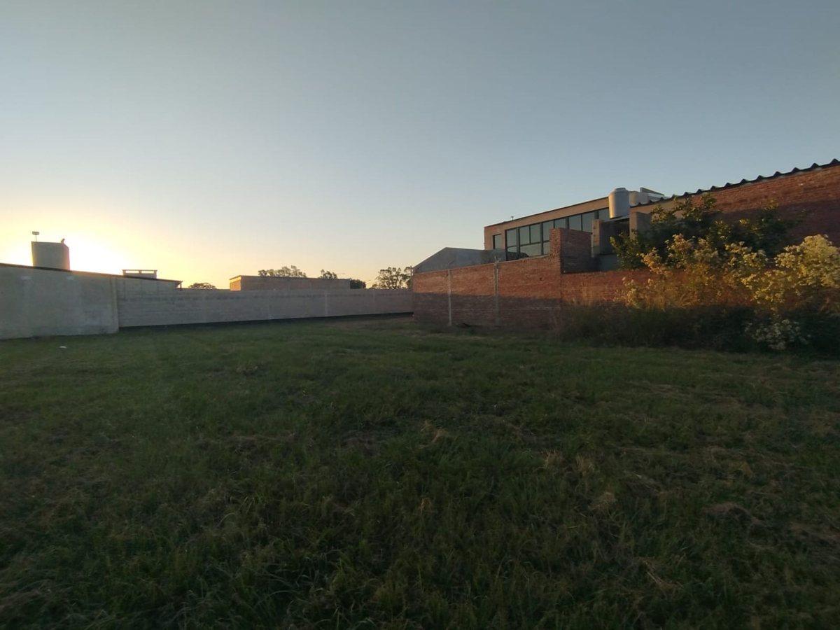 Foto de TERRENO DE 200m2 EN INGRESO A ANGEL GALLARDO, imagen 4