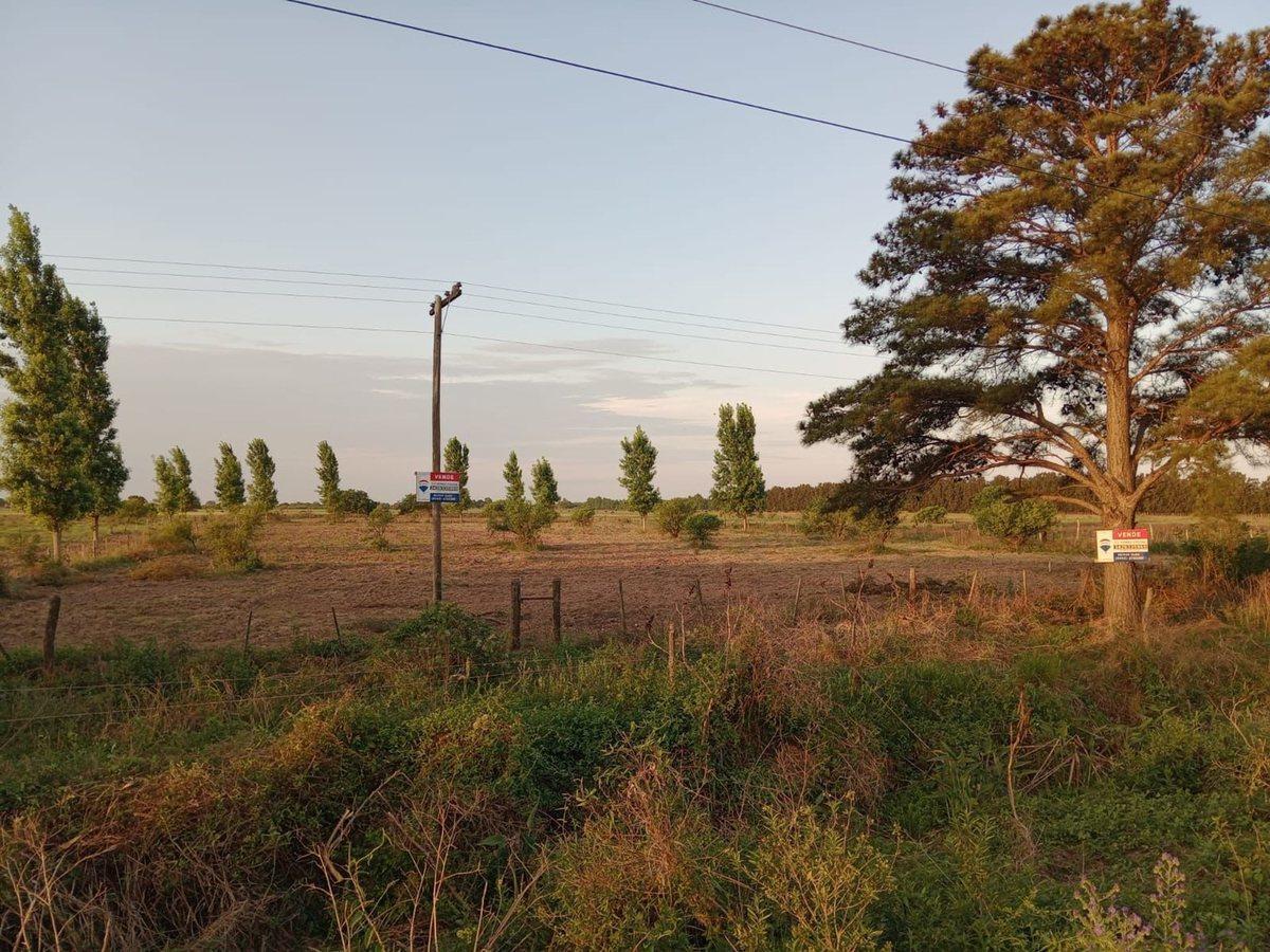 Foto de Terreno en Venta km 68 Ruta 1, imagen 4