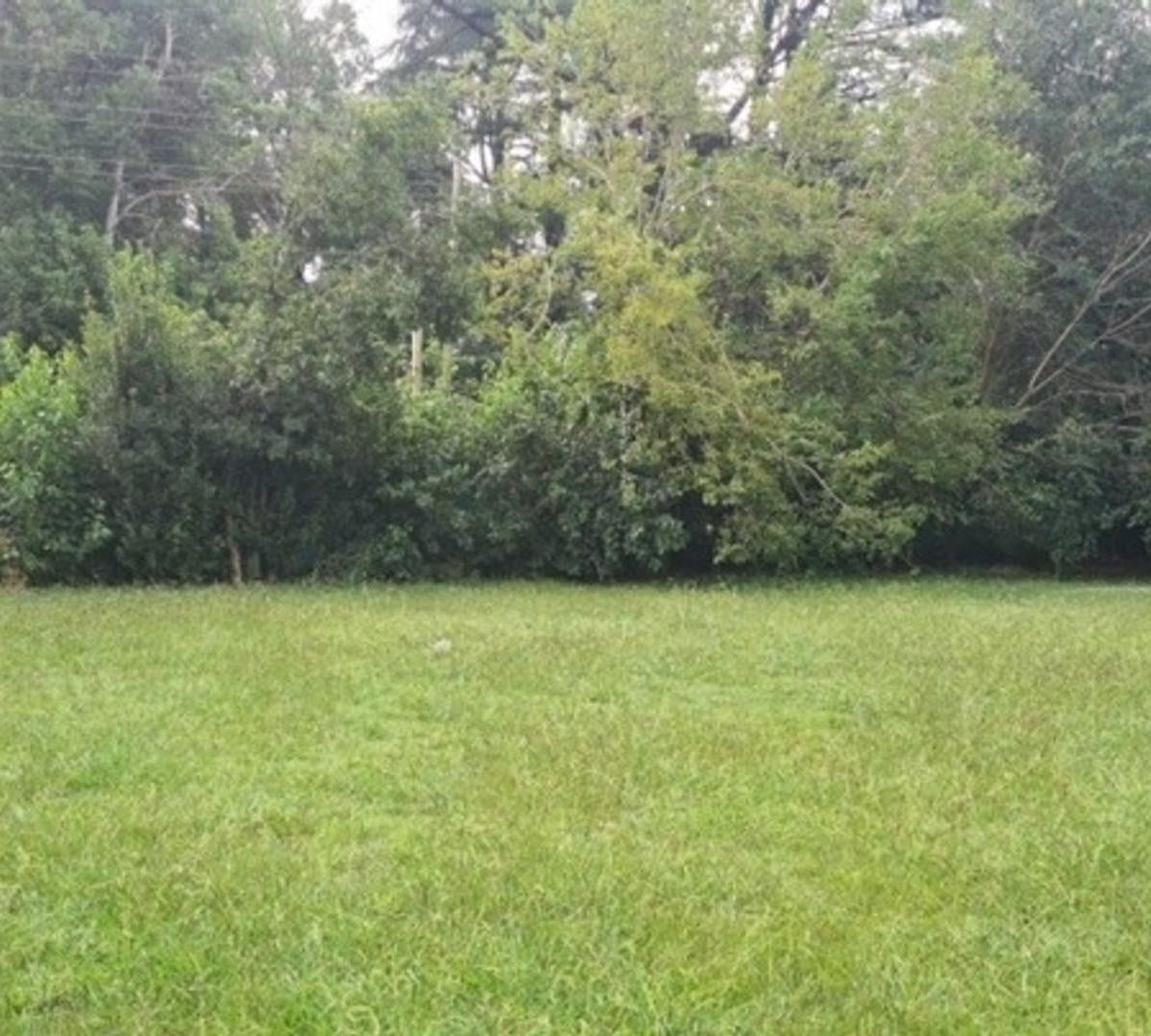 TERRENO EN VENTA - CUAN PROPIEDADES