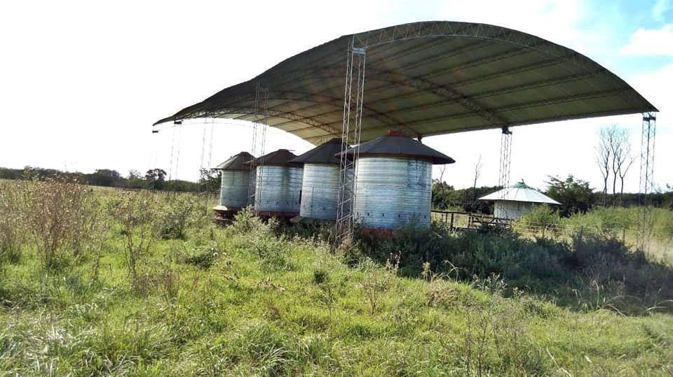 Gran Oportunidad de Venta de Campo Para Feedlot 2