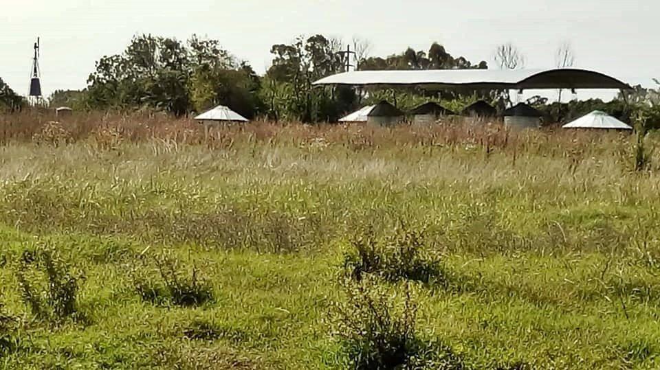 Gran Oportunidad de Venta de Campo Para Feedlot 5