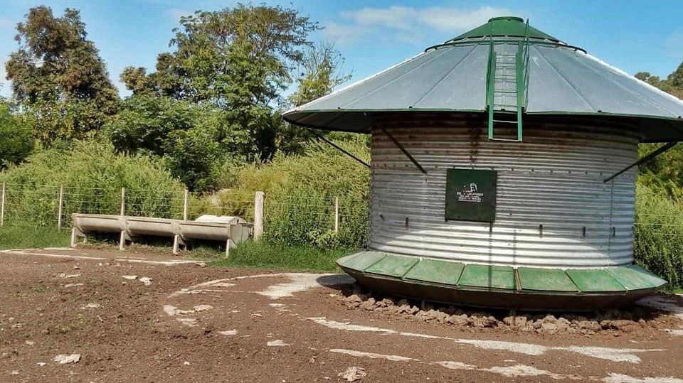 Gran Oportunidad de Venta de Campo Para Feedlot 1
