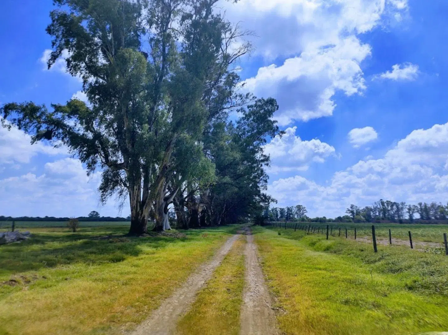 Venta campo en Rosario 3