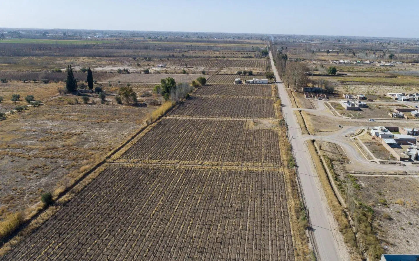 Campo en venta en Mendoza 2