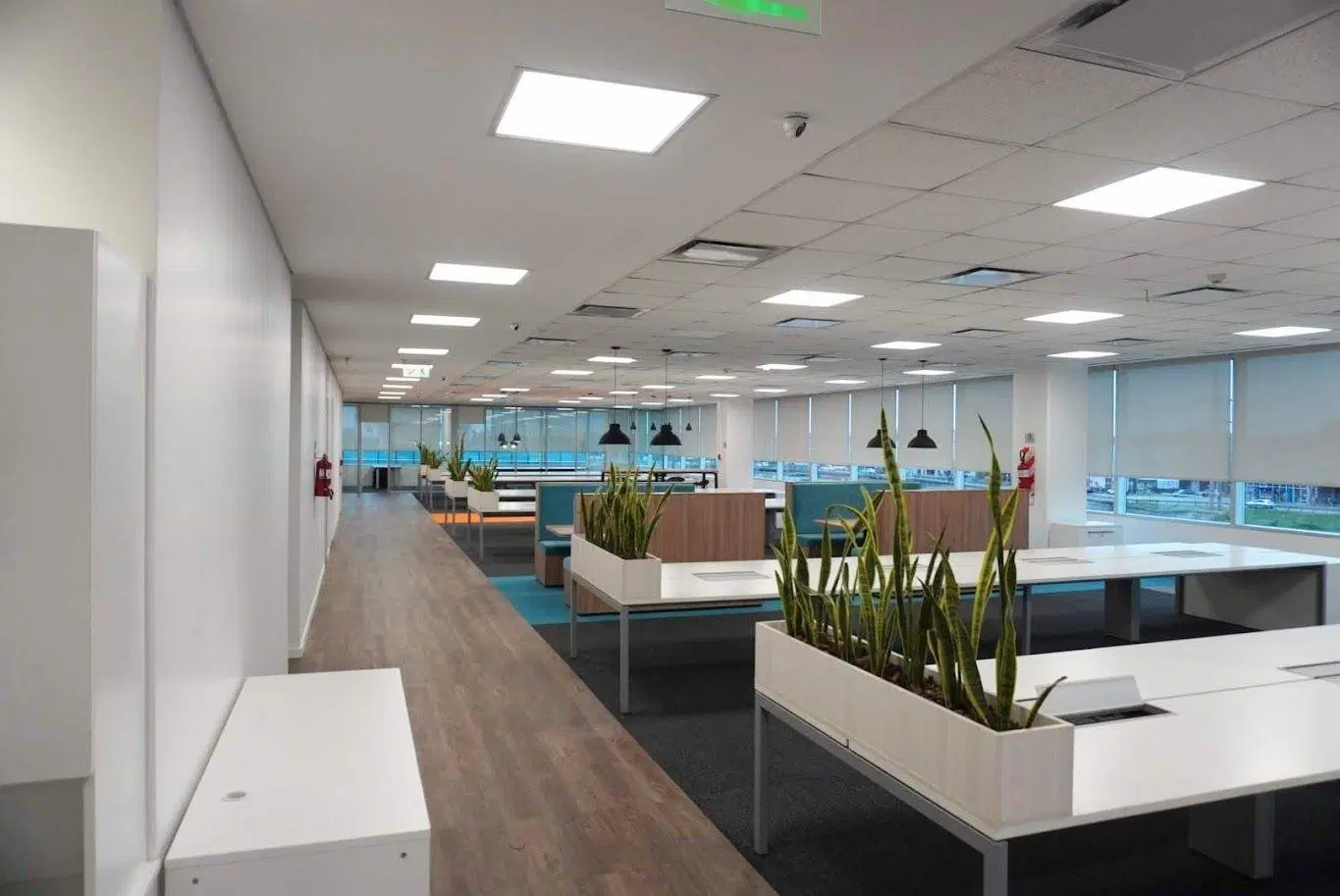 Alquiler oficina 1000 m2 Panamericana | Lumina Thames 4
