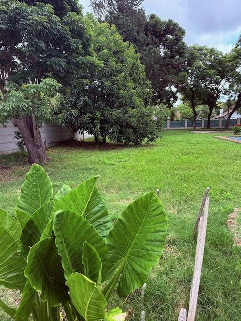 Foto de TERRENO APTO USO UNIFAMILIAR O A PORTON CERRADO - BELLA VISTA, imagen 3