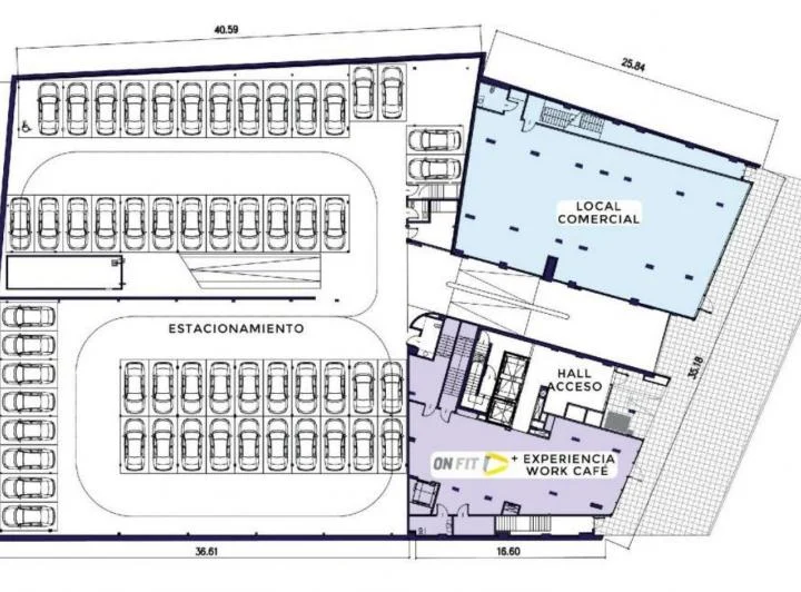 Plano 6