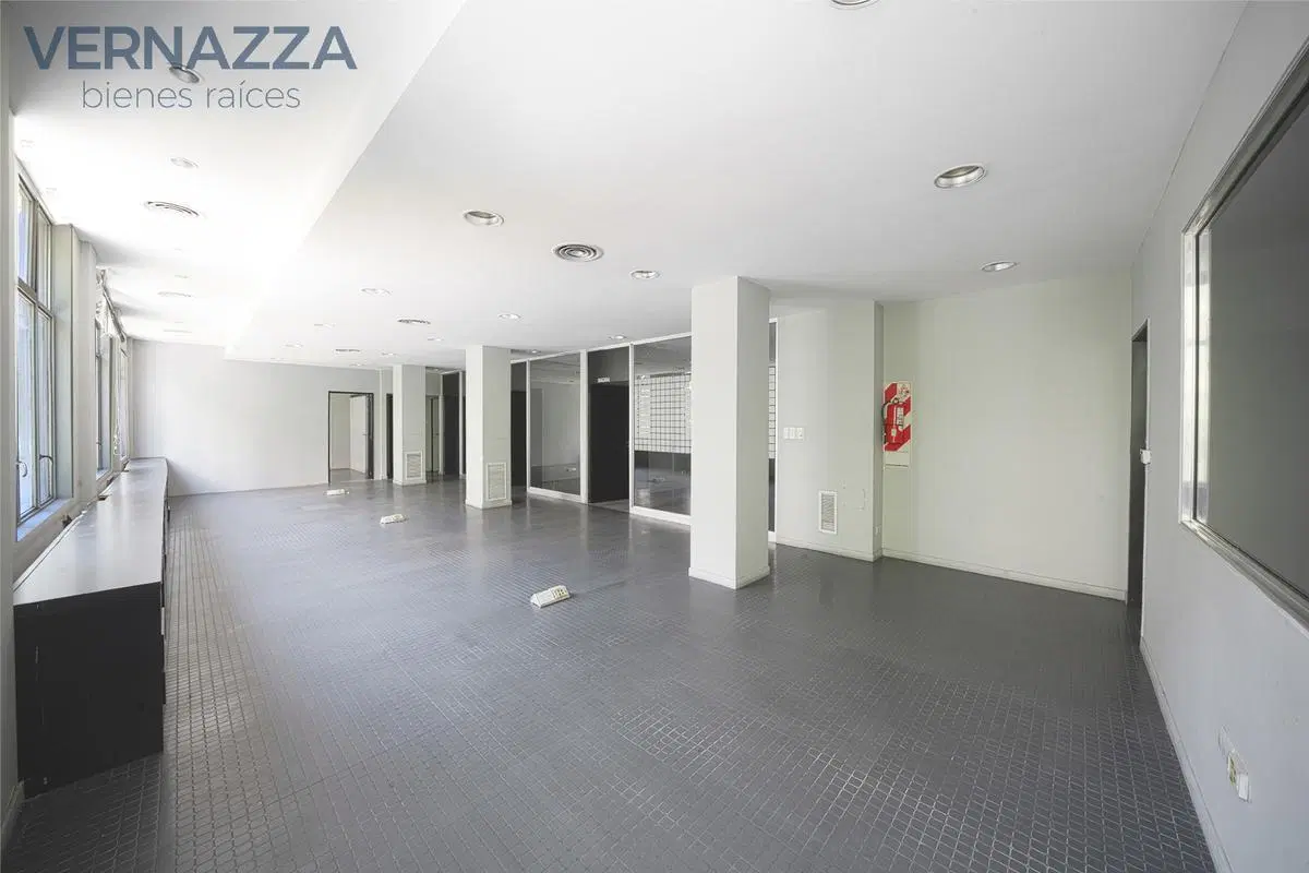 250 m² de oficinas en ubicación estratégica – Excelente conectividad 4