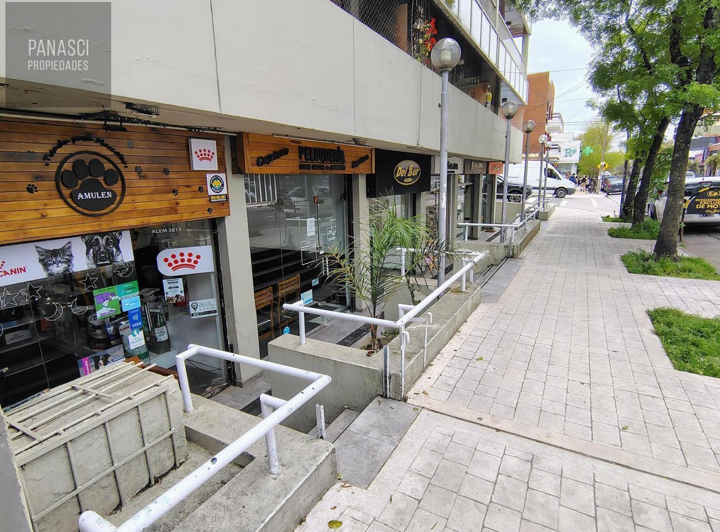 Foto de Local en Alem, imagen 1