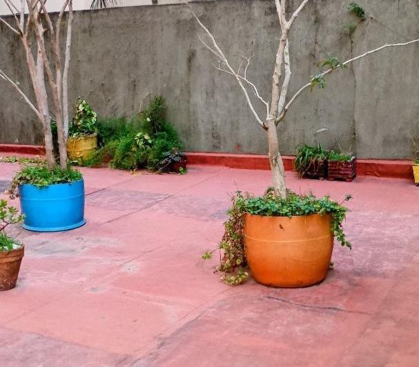 Departamento 3 ambientes en alquiler en Belgrano super patio 4