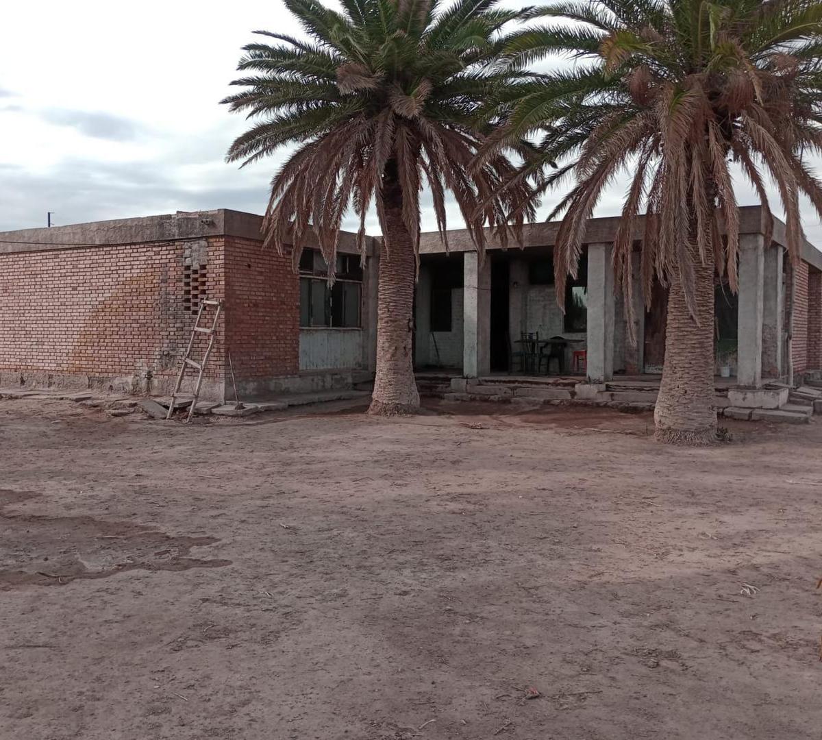 Finca en "Las Catitas", Mendoza. 100% Agua de Riego 1