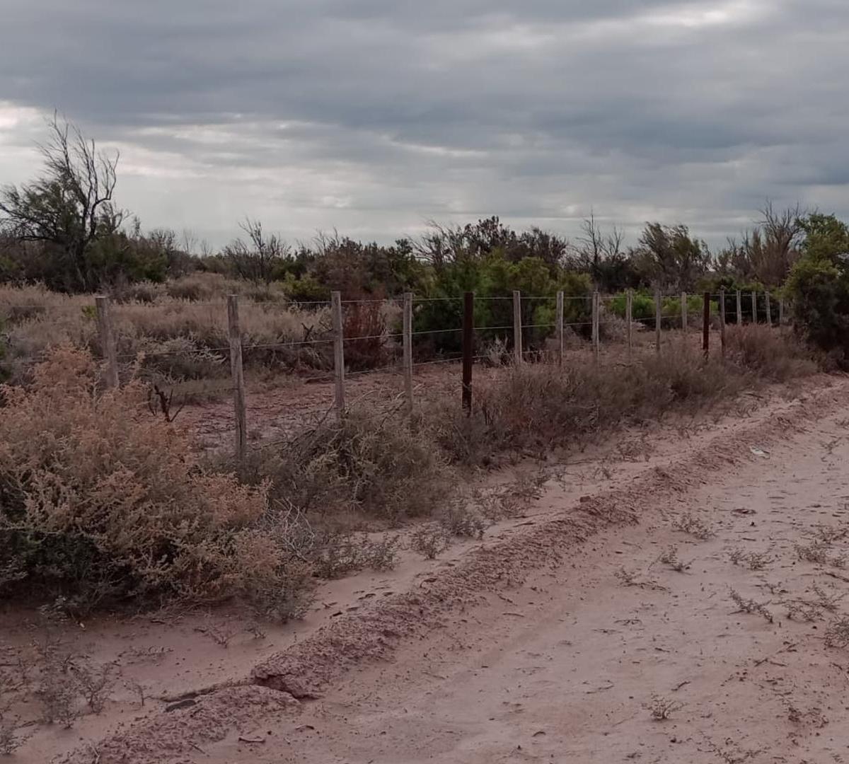 Finca en "Las Catitas", Mendoza. 100% Agua de Riego 3