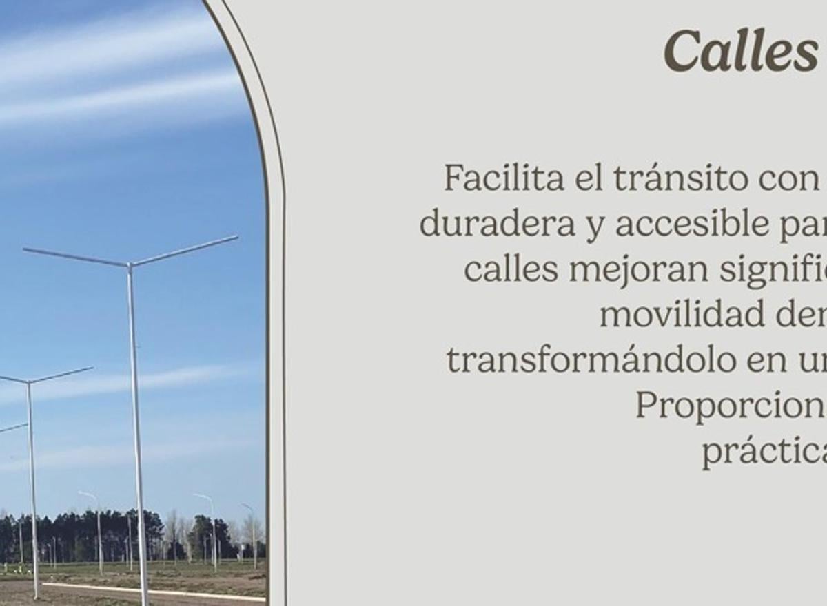 Foto de VENTA TERRENO ESTACION PARAISO, imagen 3