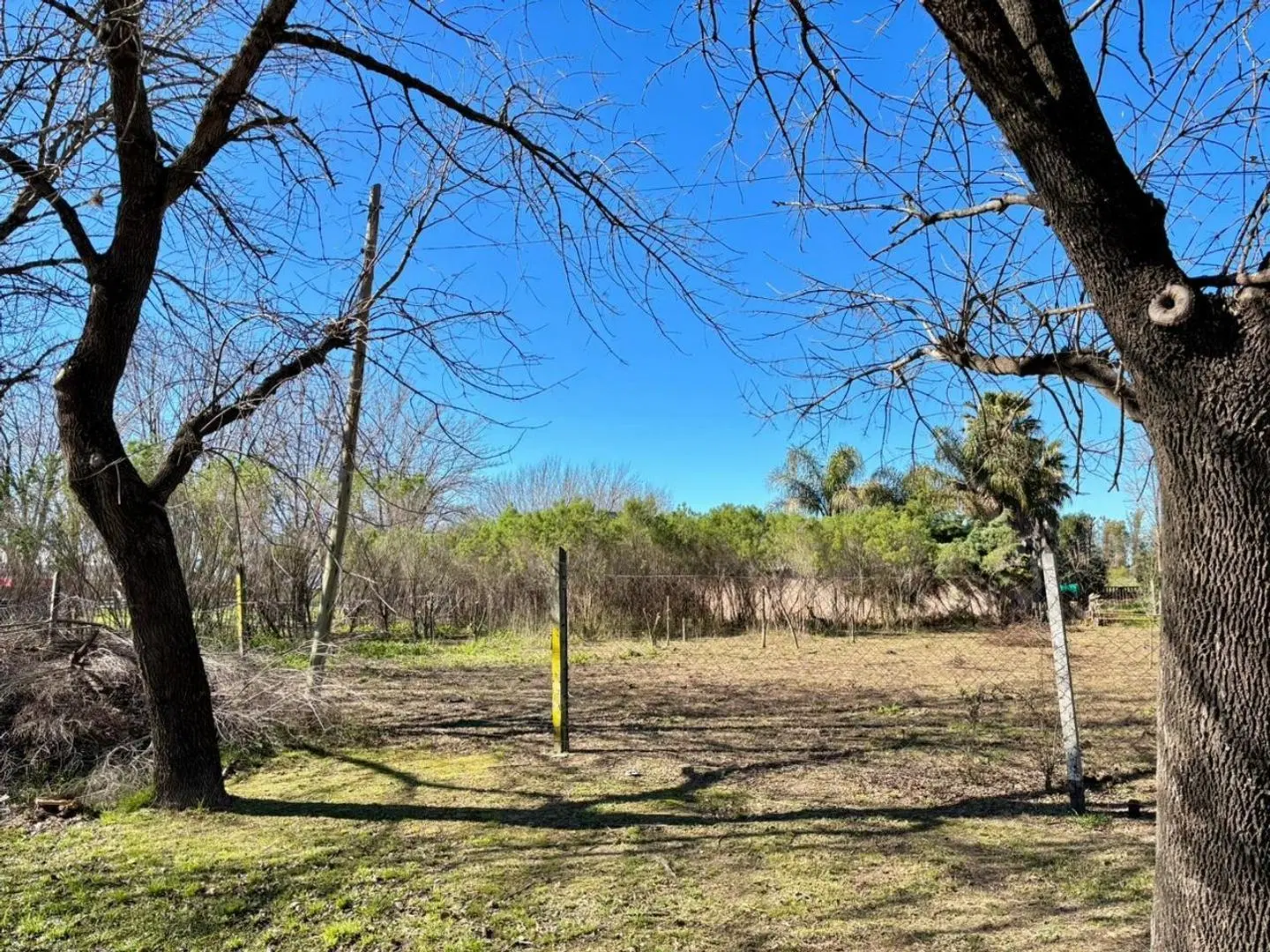 VENTA TERRENO IBARLUCEA 5
