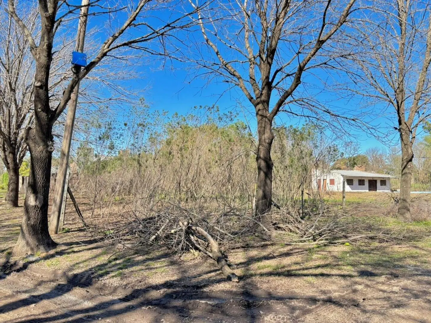 VENTA TERRENO IBARLUCEA 4