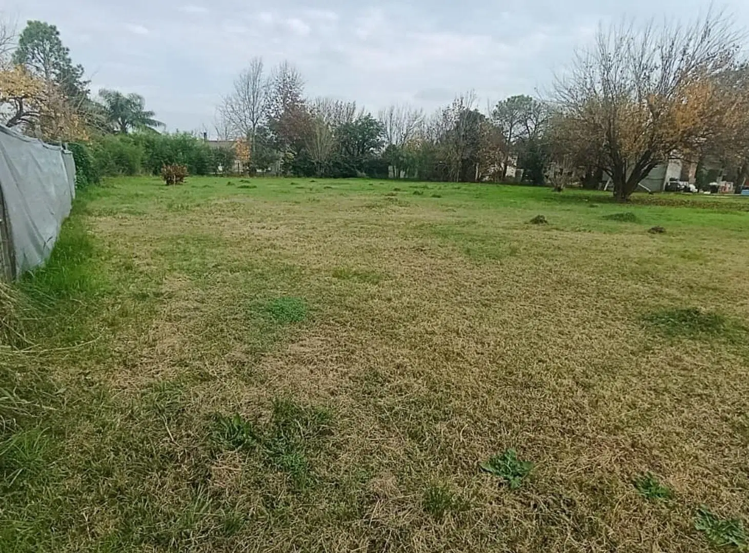 GRAN TERRENO DE 2000 m2 - HOSTAL DEL SOL: 5