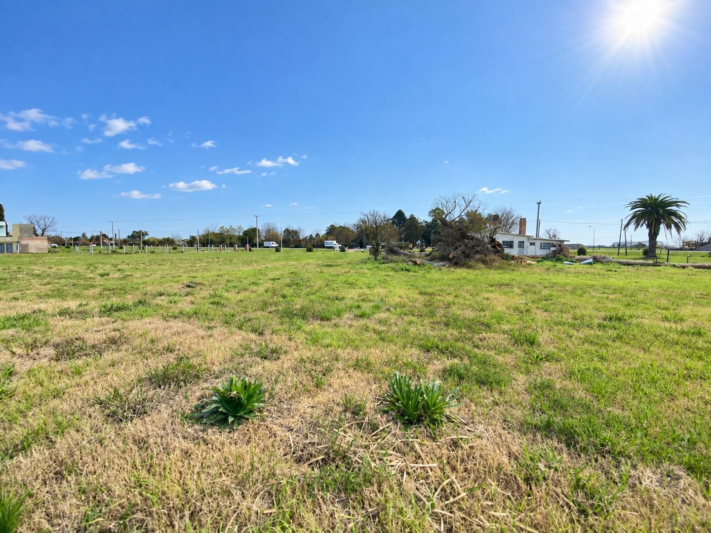 Foto de EN VENTA TERRENO ECOVIDA VILLA AMELIA, imagen 2