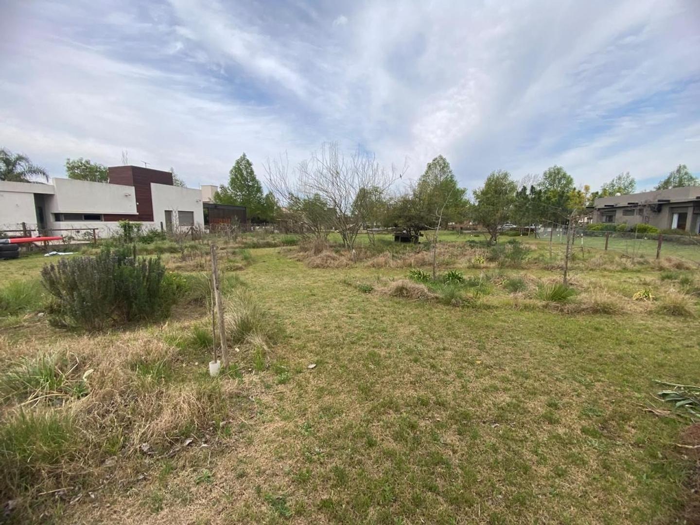Foto de TERRENO EN VENTA EN PUERTO ROLDAN MAS DE 1500M2 SOBRE LAGO, imagen 4