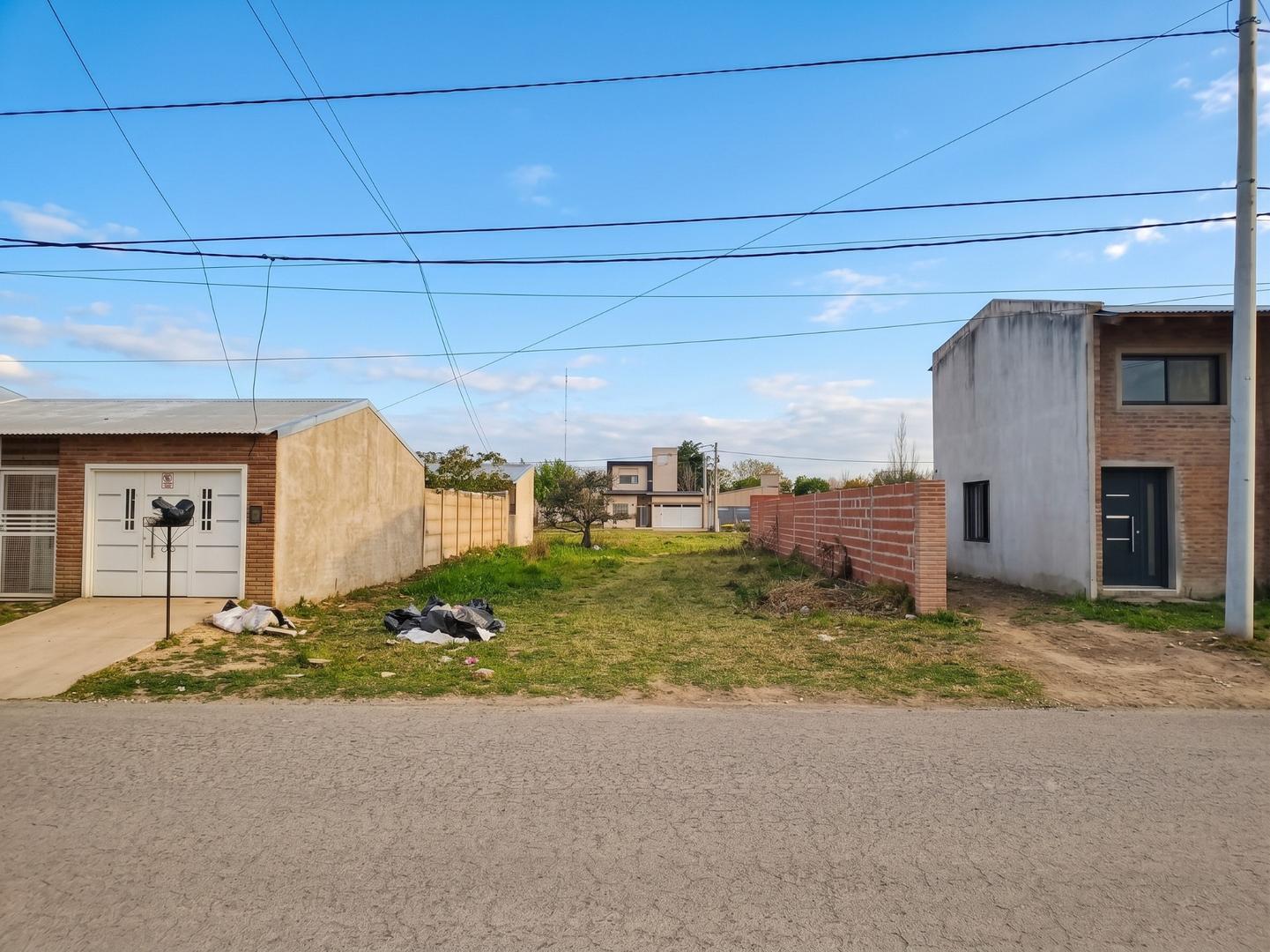 Foto de VENTA DE LOTE EN CARCARAÑÁ DE 294M2, imagen 3