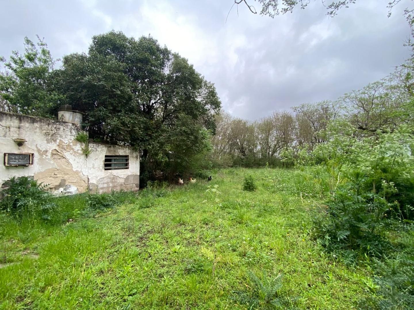 Foto de EN VENTA CASA RECICLAR CON LOTE 1000 M2 PUEBLO MUÑOZ, imagen 4