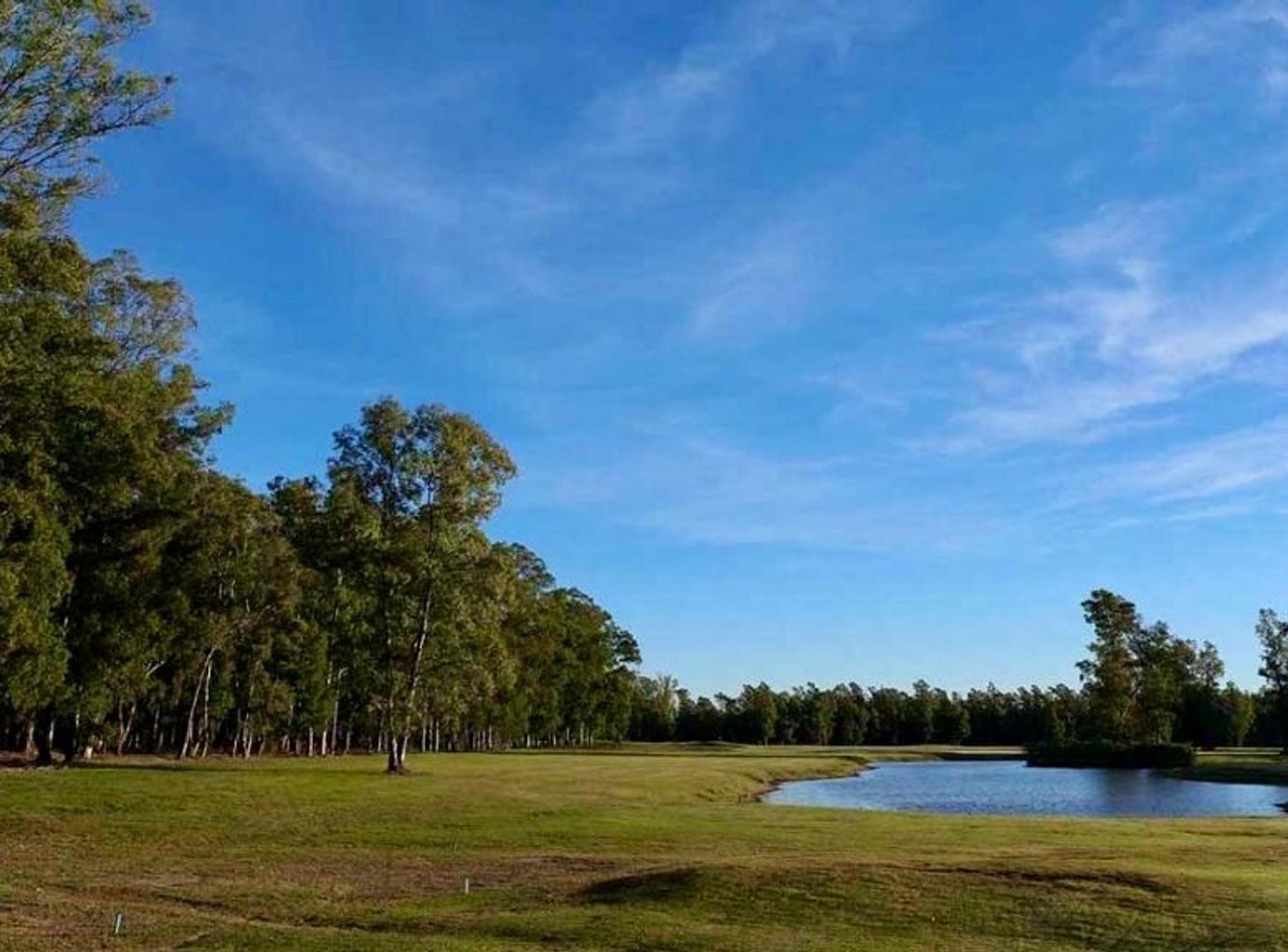 Foto de VENTA TERRENO CLUB DE CAMPO TIMBO, imagen 4